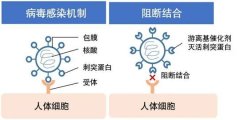 <b>日产与日东北大学药学院共同研发了一项新技术</b>