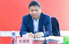 <b>张建勇任北京汽车集团有限公司董事长</b>