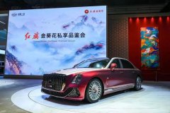 <b>红旗新车设计，与消费者期待差在哪</b>